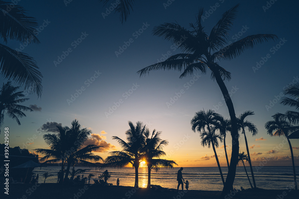 Obraz premium Silhouette of palm trees at beautiful sunset. 