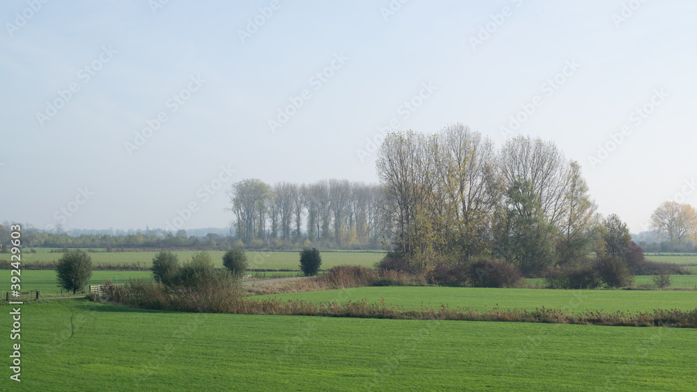 Misty Dutch polder landscape in Holland Misty Dutch polder landscape in Holland