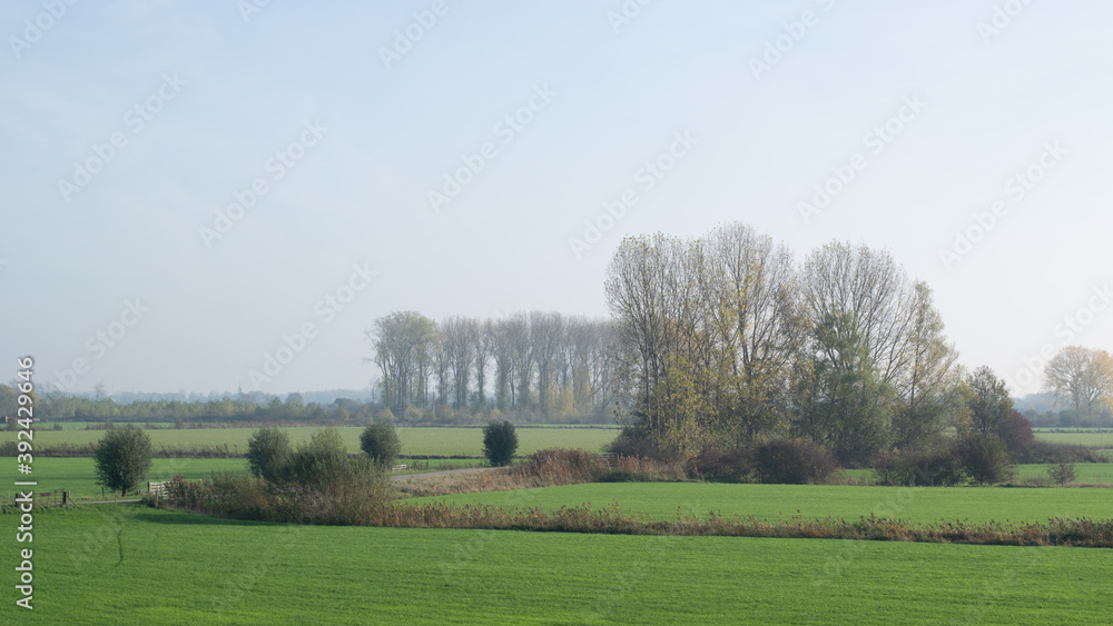 Misty Dutch polder landscape in Holland Misty Dutch polder landscape in Holland