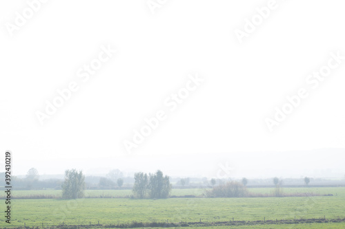 Misty Dutch polder landscape in Holland