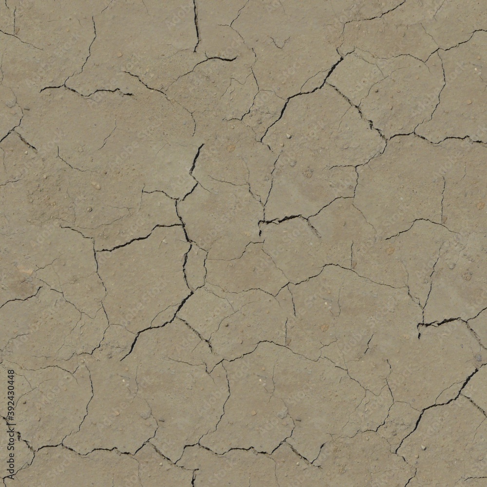 Fototapeta premium Dry Cracked Soil Seamless Texture