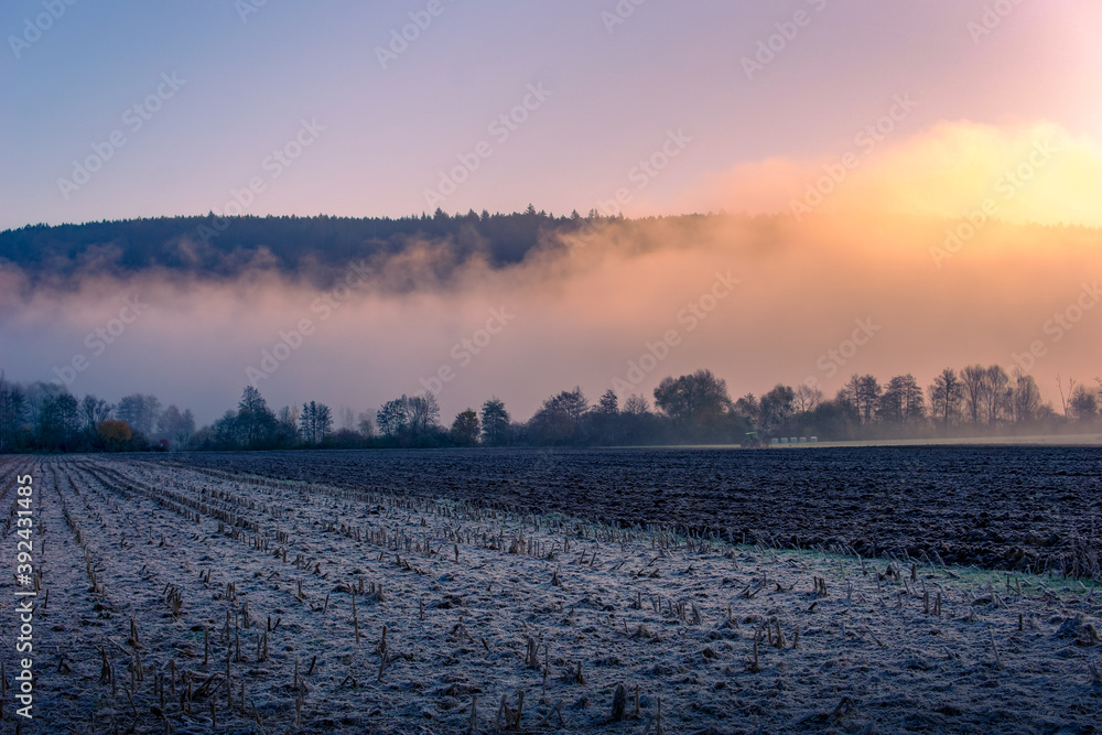 Naklejka premium Farming in Winter