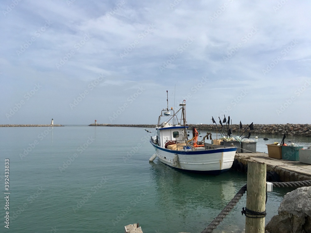 Fototapeta premium fishing boats in the harbor