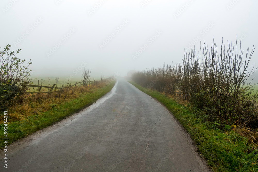 road in the countryside in the mist