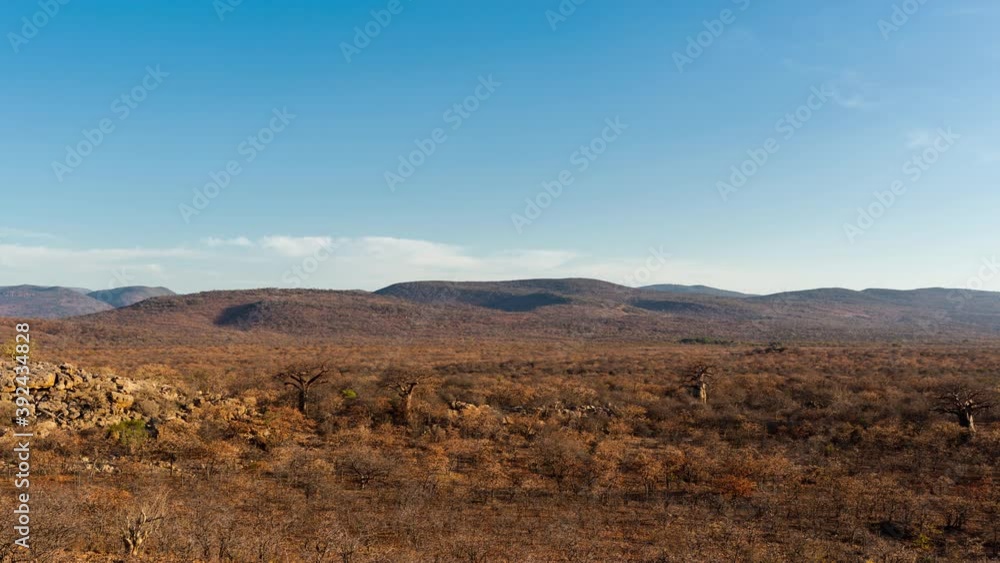 Slow linear timelapse of dry African landscape with scattered Baobabs, rocky hills and distant mountains against blue sky with scattered clouds sun sets, dip to black, Nwanedi, Limpopo, South Africa. Slow linear timelapse of dry African landscape with scattered Baobabs, rocky hills and distant mountains against blue sky with scattered clouds sun sets, dip to black, Nwanedi, Limpopo, South Africa.