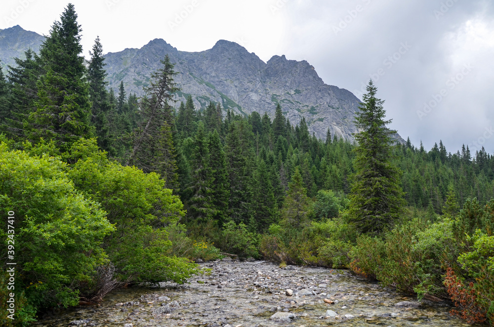 Low clouds green spruce trees and rocky mountains. High Tatras in cloudy foggy day. Path between Popradske Pleso and Strbske Pleso, Slovakia Low clouds green spruce trees and rocky mountains. High Tatras in cloudy foggy day. Path between Popradske Pleso and Strbske Pleso, Slovakia
