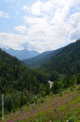 landscape in the mountains