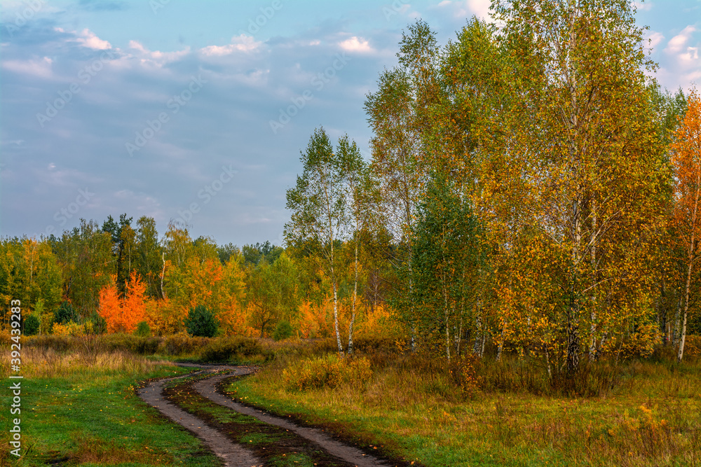 A scenic road that runs through meadows and along the forest. Countryside. Hiking. A scenic road that runs through meadows and along the forest. Countryside. Hiking.