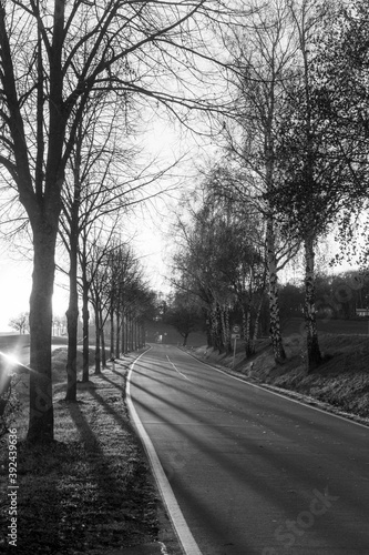 A black and white photograph of a lonely Bavarian road near Coburg as the sun sets on a row of trees.