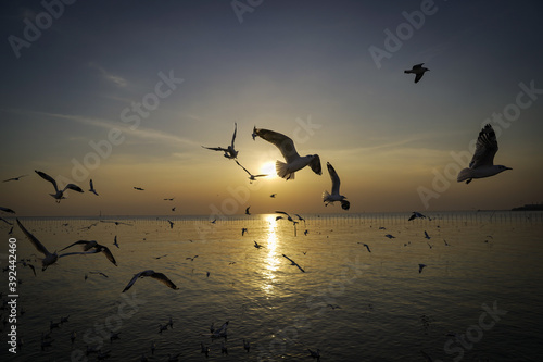 Wallpaper Mural seagulls on the beach Torontodigital.ca