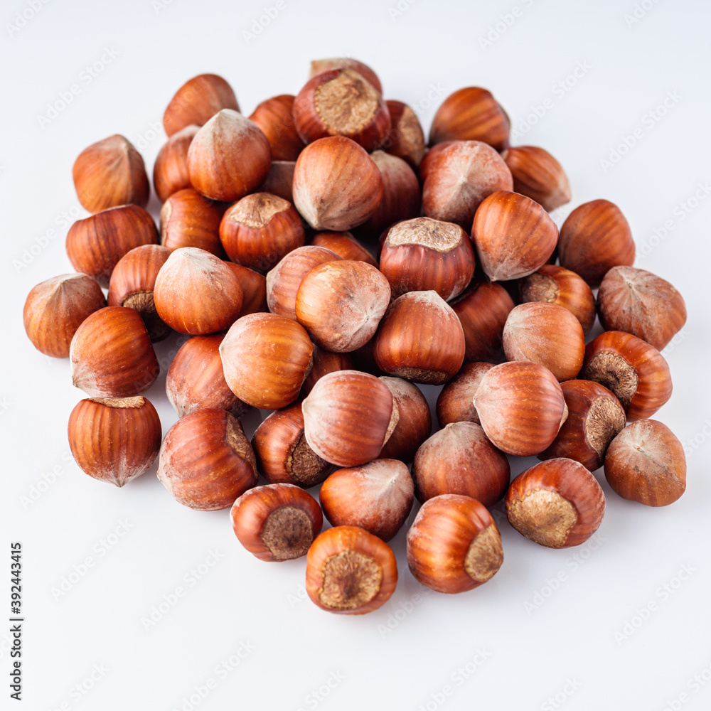 fresh natural hazelnuts on a white acrylic background fresh natural hazelnuts on a white acrylic background