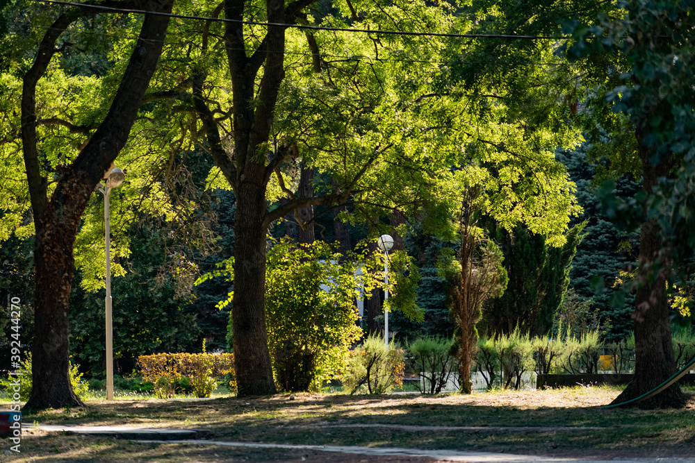 Naklejka premium An alley and path among green vegetation, grass and trees with shrubs and part of the road ennobled and fenced with flowers for walking and running in parks and forests in nature in the fresh air