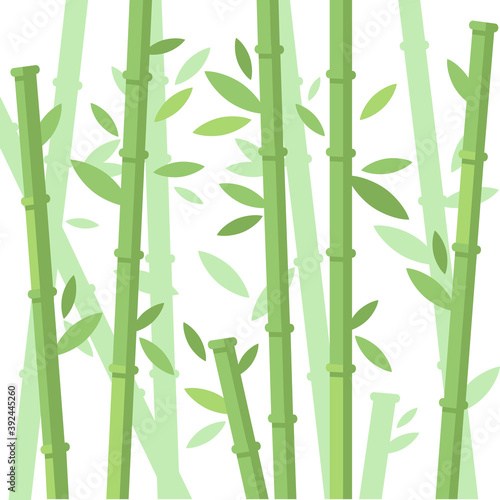 Green bamboo trees. Bamboo stems with leaves on white background. Flat vector illustration