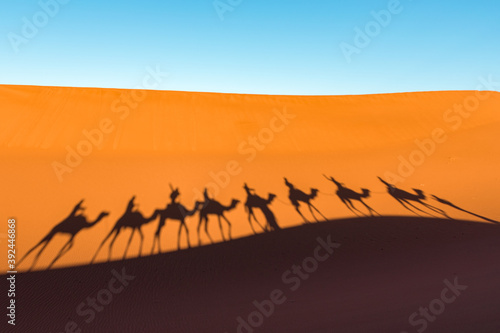 Daytime wide angle shoot of camel caravan silhouettes in desert dunes of Erg Chigaga  at the gates of the Sahara. Morocco. Concept of travel and adventure.