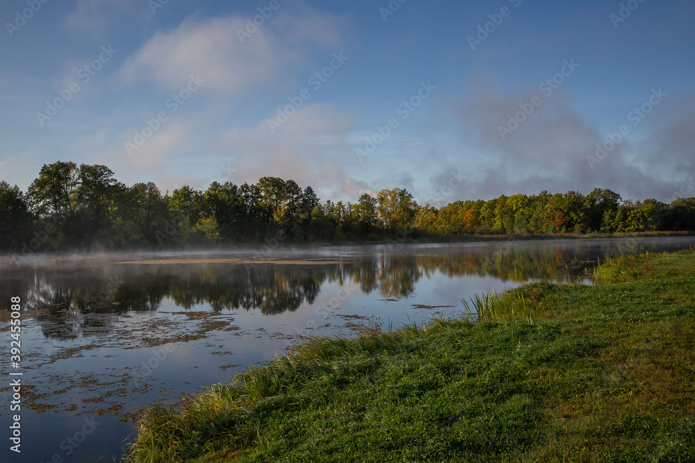 reflection of trees in the lake