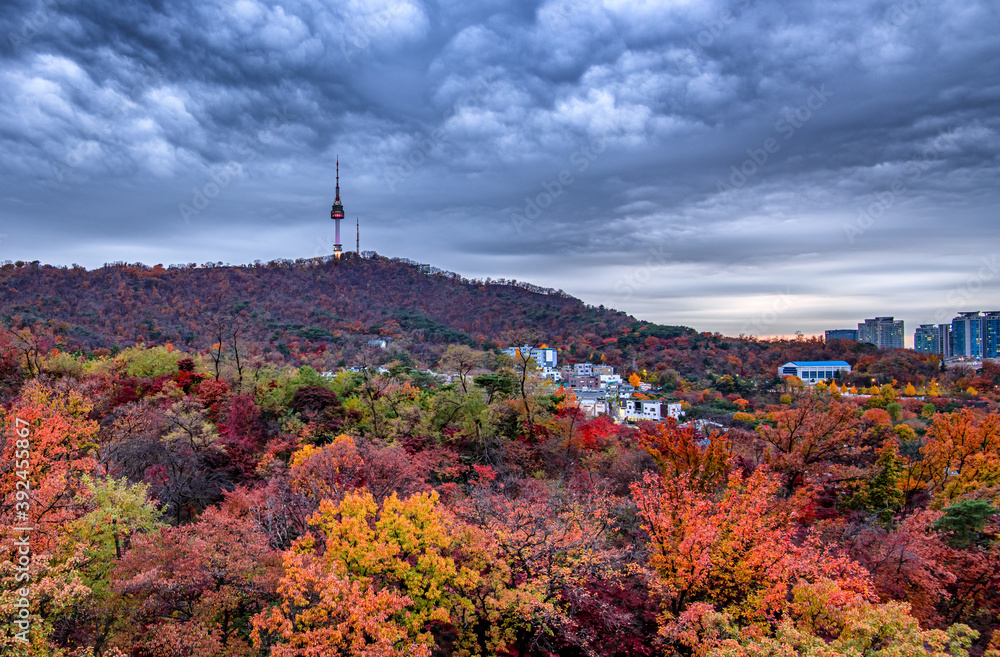 Namsan mountain in autumn, Seoul south Korea