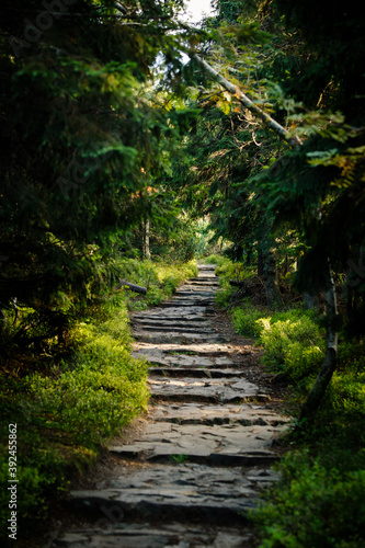 path in mountains 