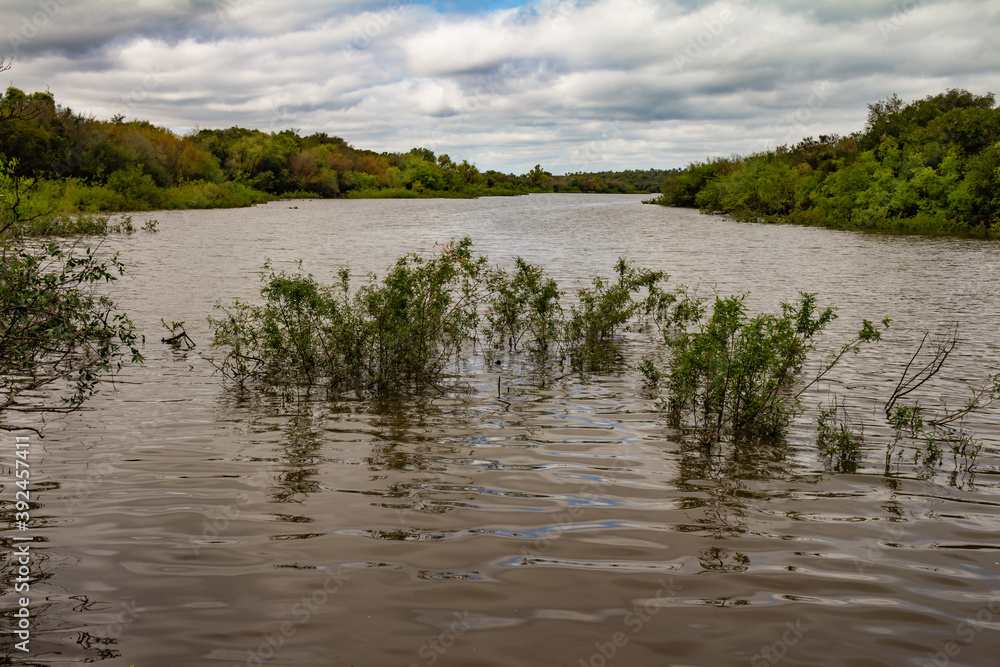 Margins of a river full of vegetation. Landscape without people. Subtropical river Margins of a river full of vegetation. Landscape without people. Subtropical river