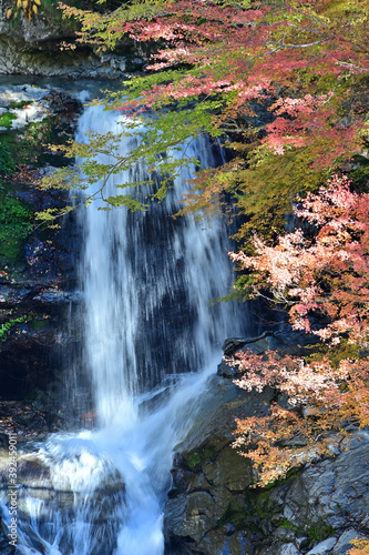 四国徳島県の大轟の滝 © kamatari