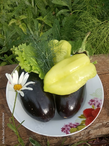 Fresh vegetables from the garden, harvest
