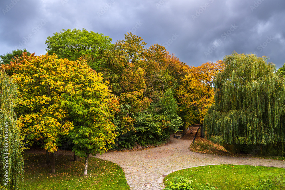 Blick auf herbstlich gefärbte Bäume in der Hansestadt Rostock