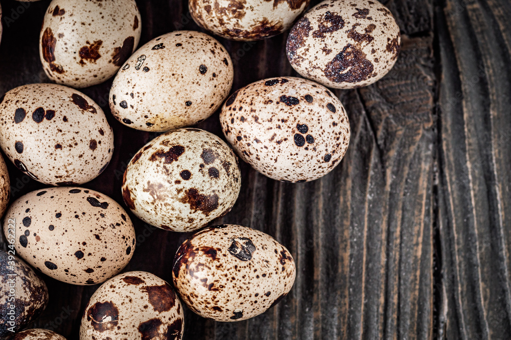fresh quail eggs on a dark wooden rustic background fresh quail eggs on a dark wooden rustic background