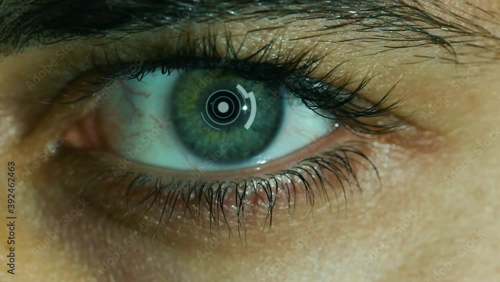 Eye scanning and reading. Identity recognition technology. Eye scanning and reading. Identity recognition technology.