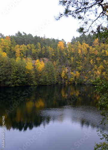 Fototapeta Naklejka Na Ścianę i Meble -  Spiegelung am Steinbruchsee. Herbstwald an einer Steilküste
