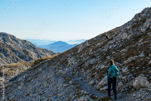 A woman hiking along a mountain goat in Hochschwab region in Austrian Alps. Unexpected meeting. Massive Alps around. Autumn vibes in the mountains. Idyllic landscape. Freedom and wilderness © Chris