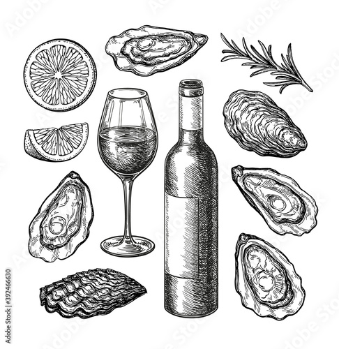 Ink sketch set of wine and oysters.