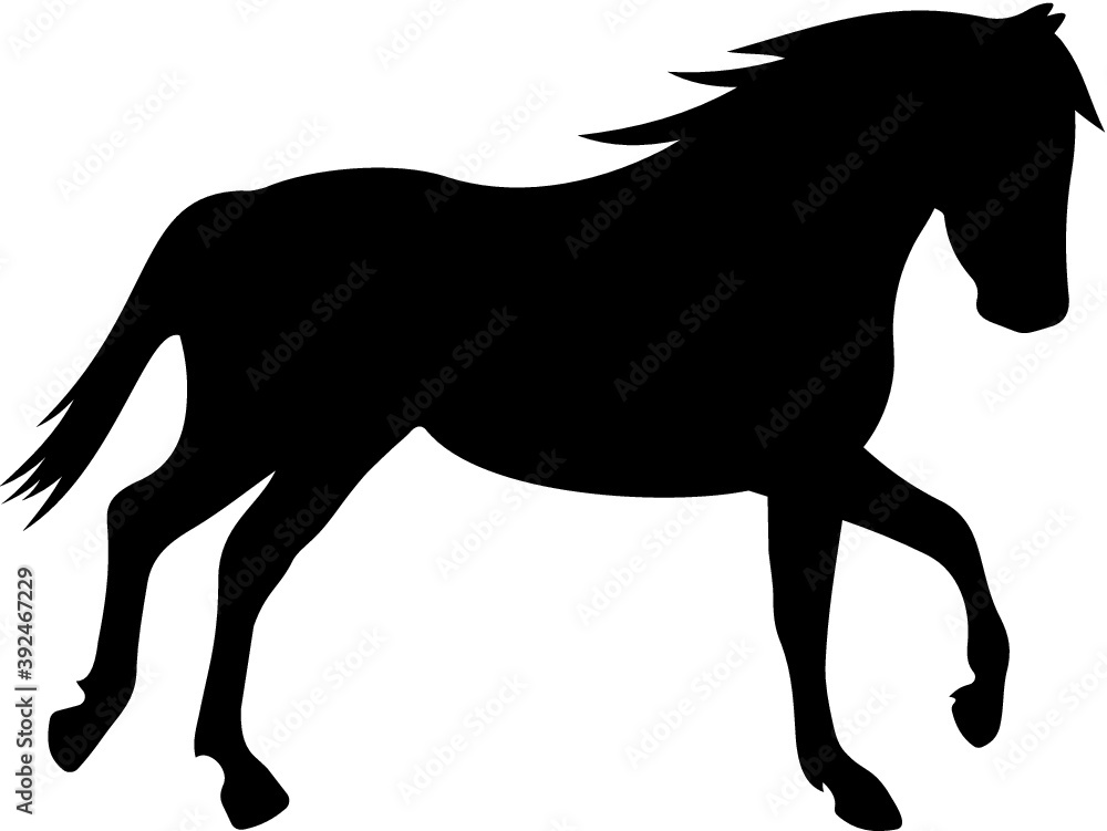 Vector illustration of the horse silhouette Vector illustration of the horse silhouette