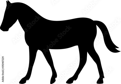 Vector illustration of the horse silhouette