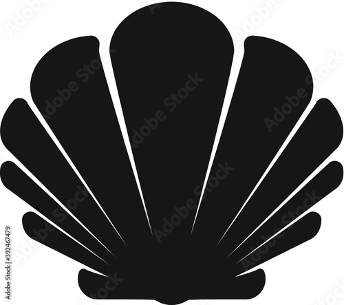Vector illustration of the seashell