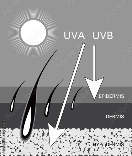 Skin compare , Protect both UVA and UVB