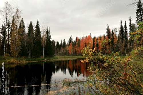 lake, water, forest, landscape, nature, autumn, reflection, sky, trees