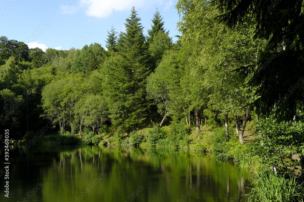 Das Naturschutzgebiet Lange Rhön in der Kernzone des Biosphärenreservat Rhön, Bayerischen Rhön, Landkreis Rhön-Grabfeld, Unterfranken, Bayern, Deutschland