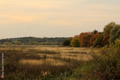 Autumn landscape in the village