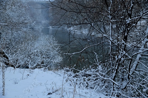 A snow covered Bush leaning over the river © Игорь Воробьёв