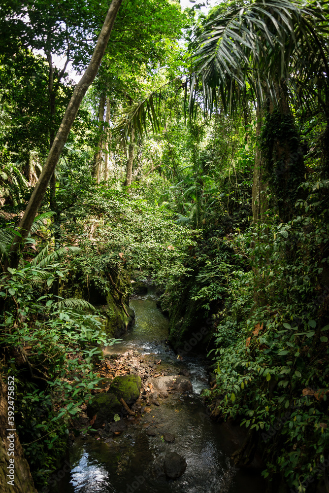 Vertical view of sun rays on rocks in a Balinese jungle, Bali Vertical view of sun rays on rocks in a Balinese jungle, Bali
