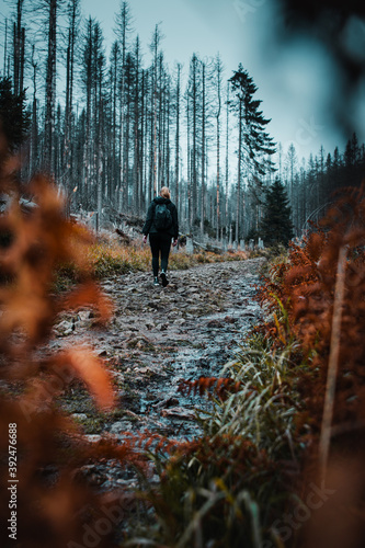 A sporty female hiker girl exploring the moody and mystic mountain nature with foogy cold winter weather. Outdoors in the cold with mist and dark dramatic vibes. Harz National Park in Germany © Ricardo