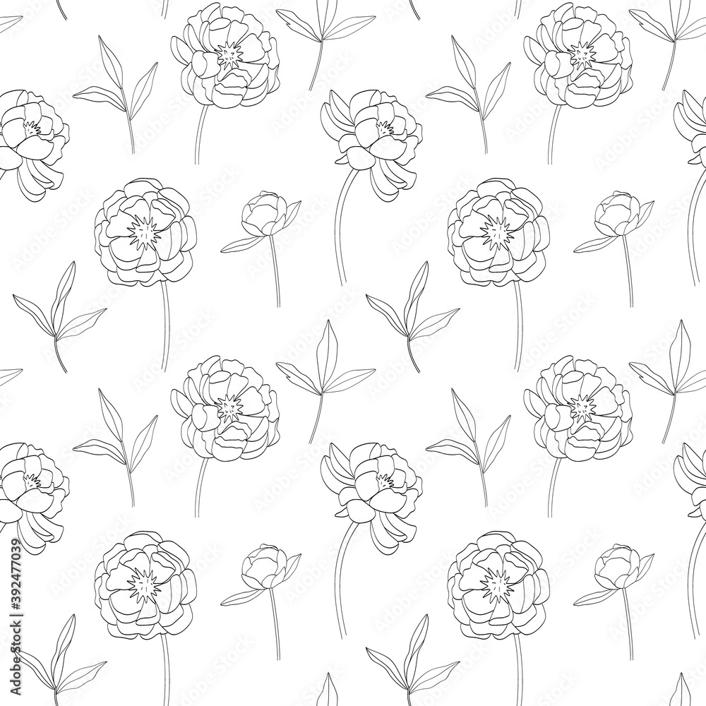 Seamless pattern with a delicate outline of peonies on a white background. Vector illustration for textiles and decor.