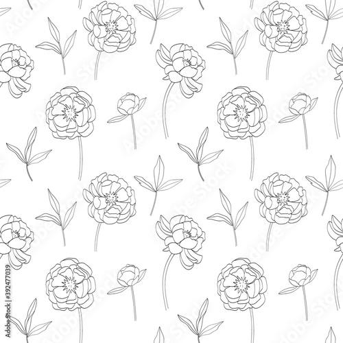 Seamless pattern with a delicate outline of peonies on a white background. Vector illustration for textiles and decor.