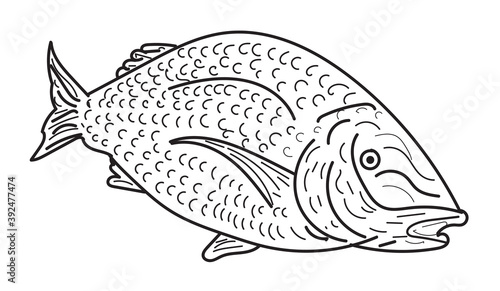 A simple illustrative line drawing style depiction of a fish.