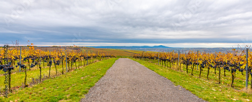 Lokout tower at Kobyli Vrch hill, South Moravia region - Czech republic. Wooden spiral construction near vineyards and church. Palava hills, famous wine area. Autumn weather, clouds after rain. photo