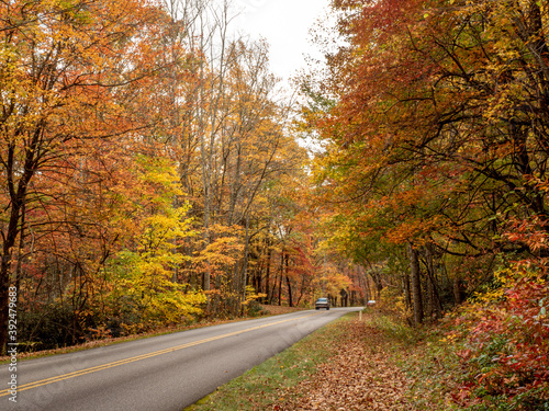 Vibrant fall foliage along the Blue Ridge Parkway in late October.