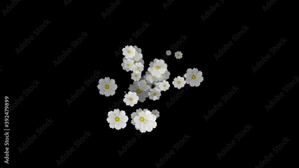 Flowers Emitter Particles Random, Flowers Particles Flowers Emitter Particles Random, Flowers Particles