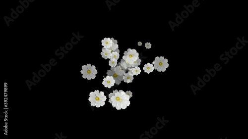 Flowers Emitter Particles Random, Flowers Particles 