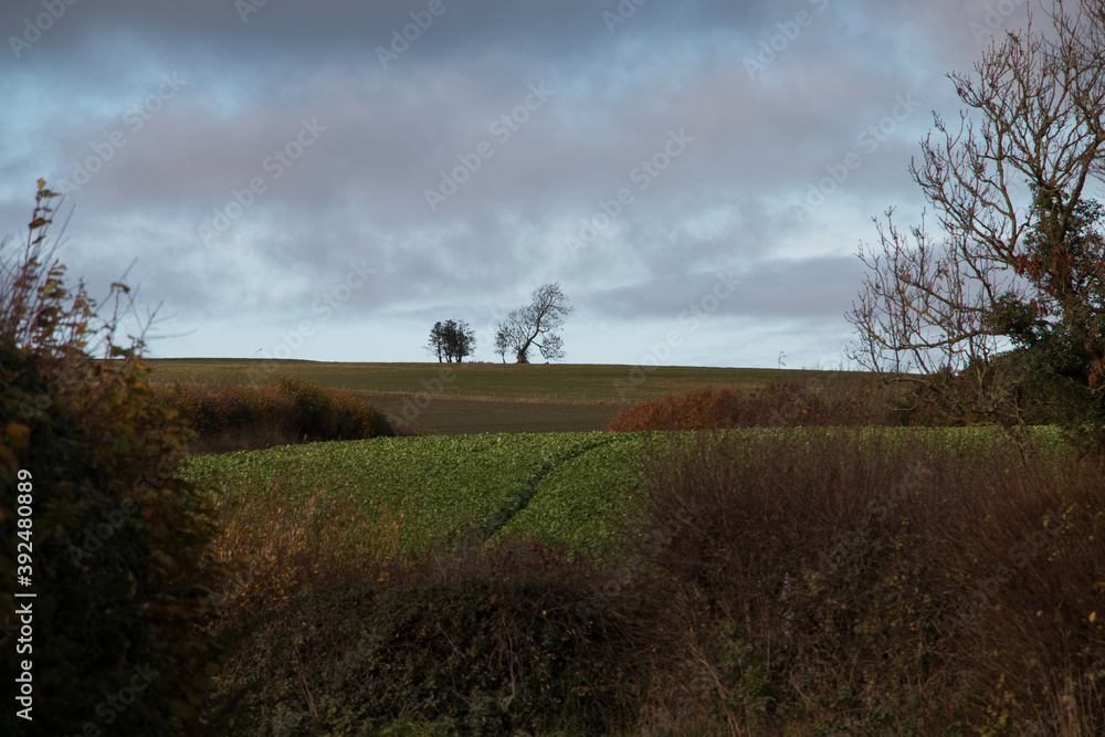 Fototapeta premium Autumn landscape scene under a cloudy sky in the rural Shropshire countryside, England.