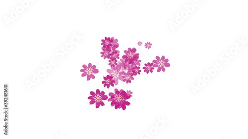 Flowers Emitter Particles Random, Particles Flowers 