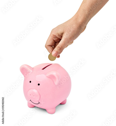 coin finance saving money piggybank business investment banking piggy bank pig hand holding putting